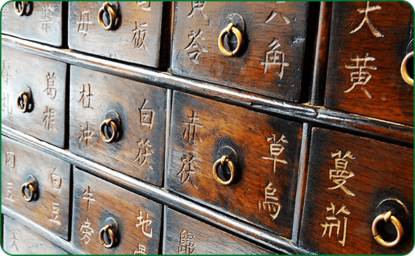 漢方治療・鍼治療